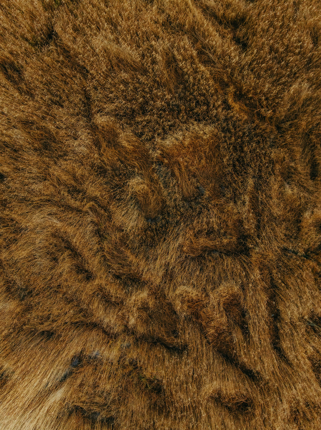 Fibres naturelles vs synthétiques : les différences essentielles
